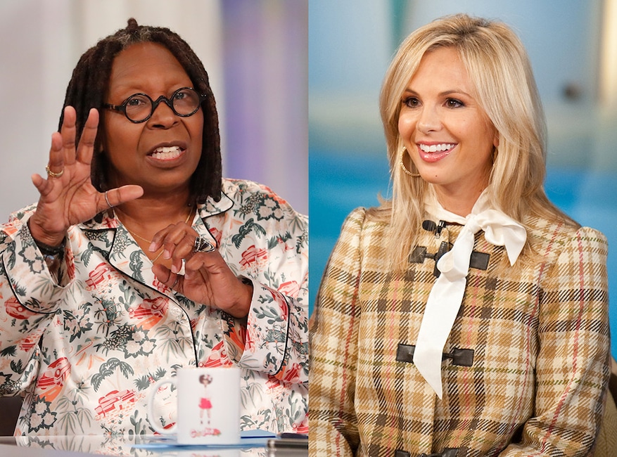 Whoopi Goldberg, Elisabeth Hasselbeck, The View showdown